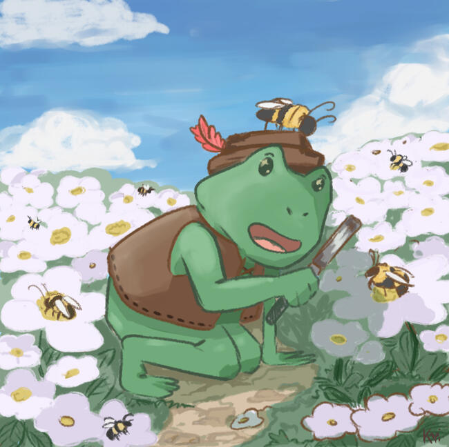 illustration 2